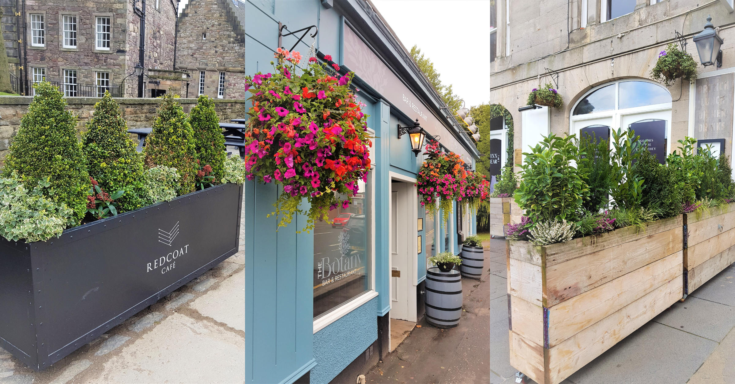 exterior-live-planting-for-hospitality-venues-in-troughs-hanging-baskets