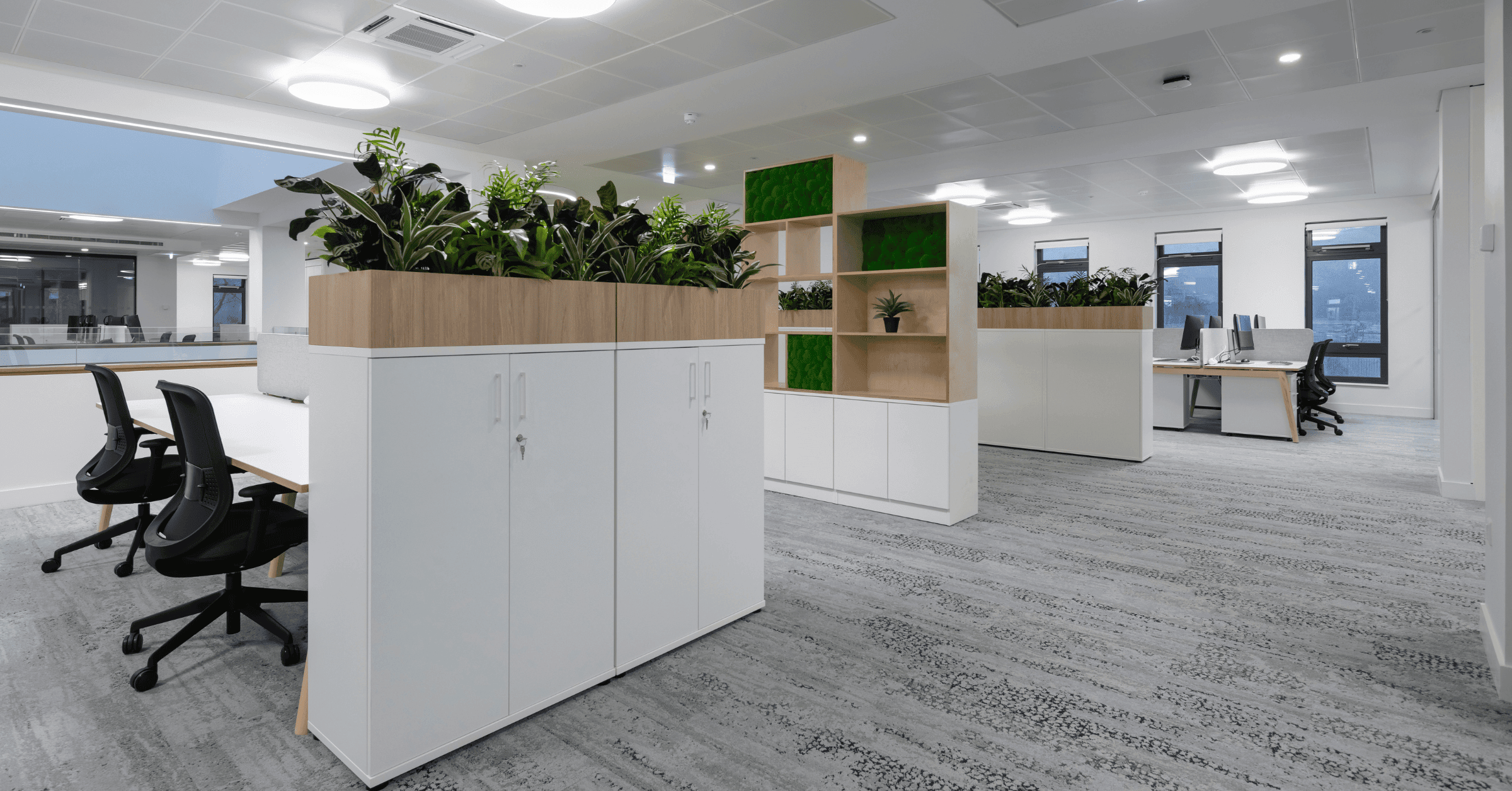 how-office-plants-can-help-attract-and-retain-top-talent-4