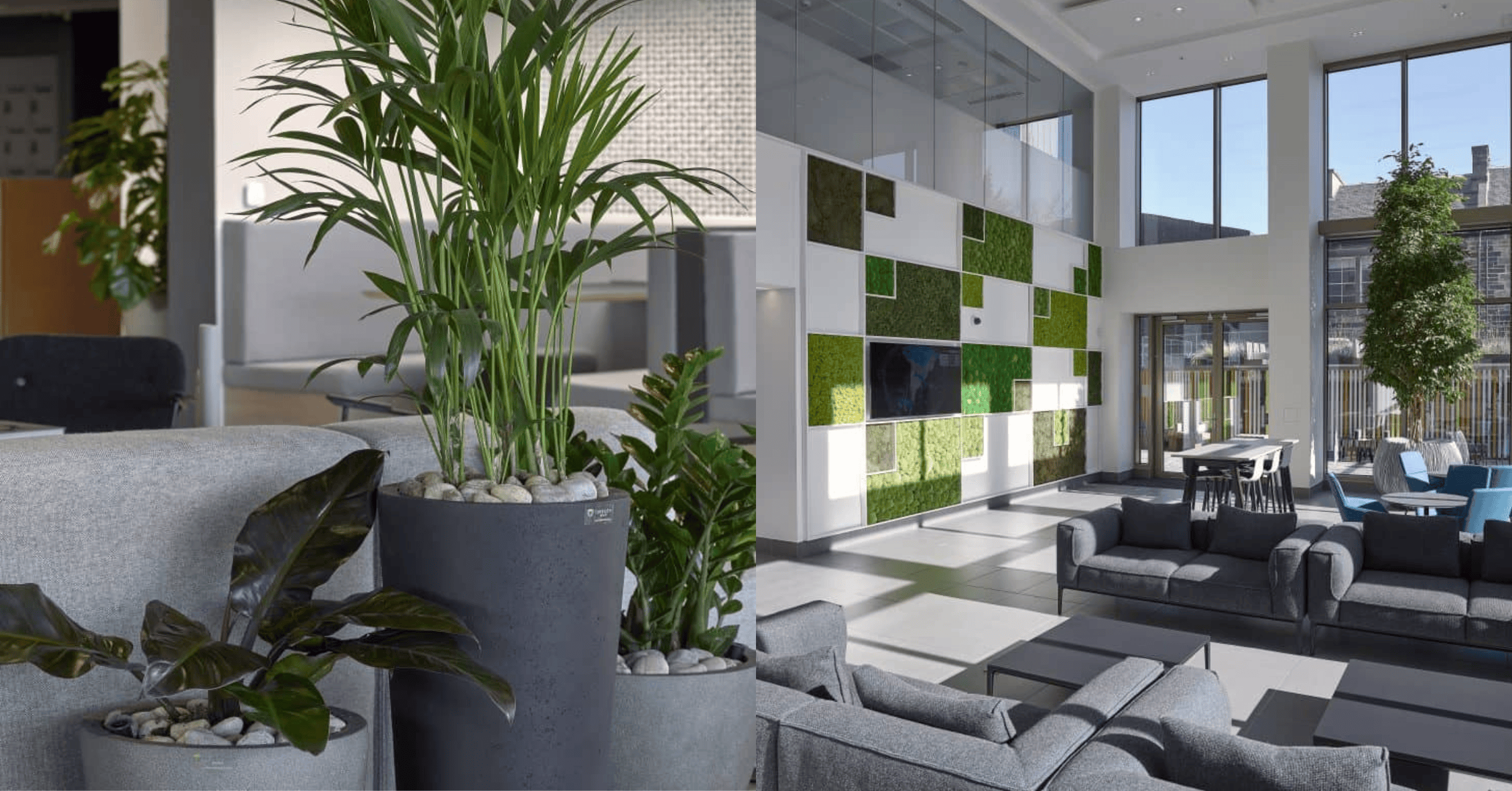 what-plants-are-best-for-commercial-interior-design-real-or-artificial-2