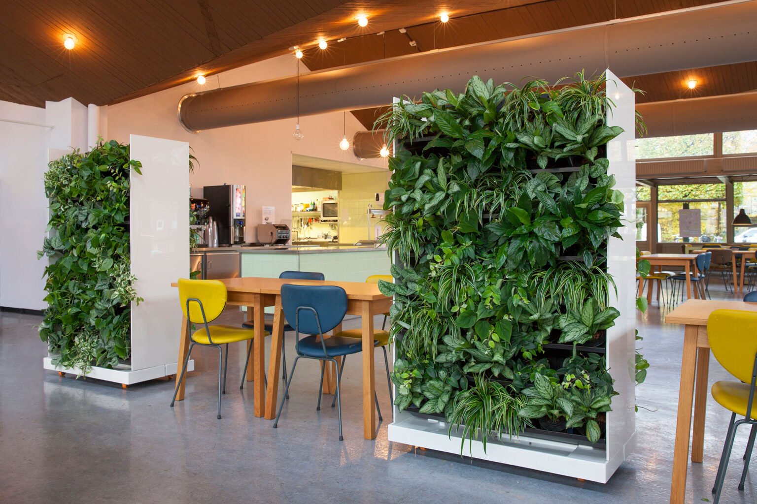 2 Mobile Greenwall As Room Divider 1536x1024 