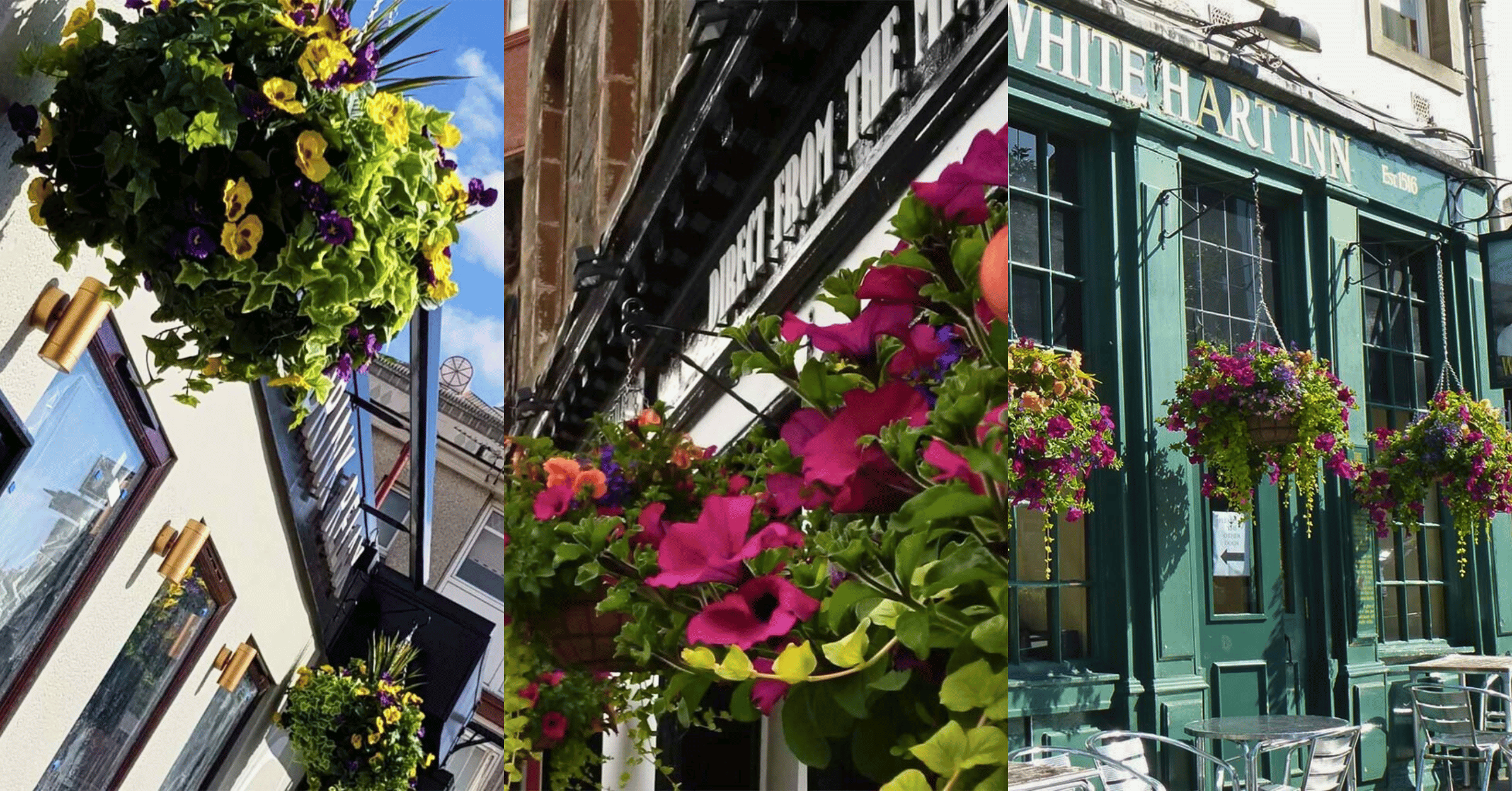 commercial-hanging-baskets