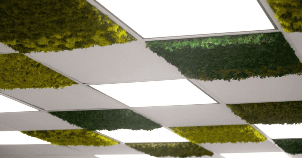 moss-ceilings-1