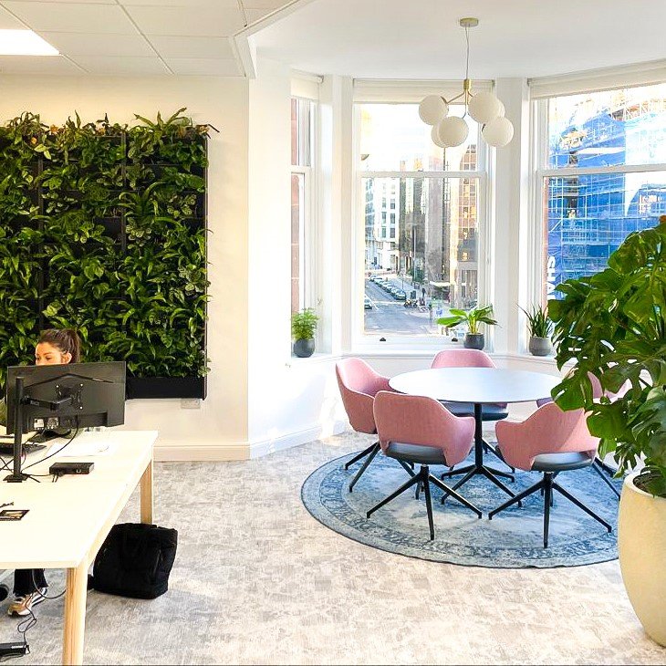 liquidline-glasgow-office-plants-living-wall