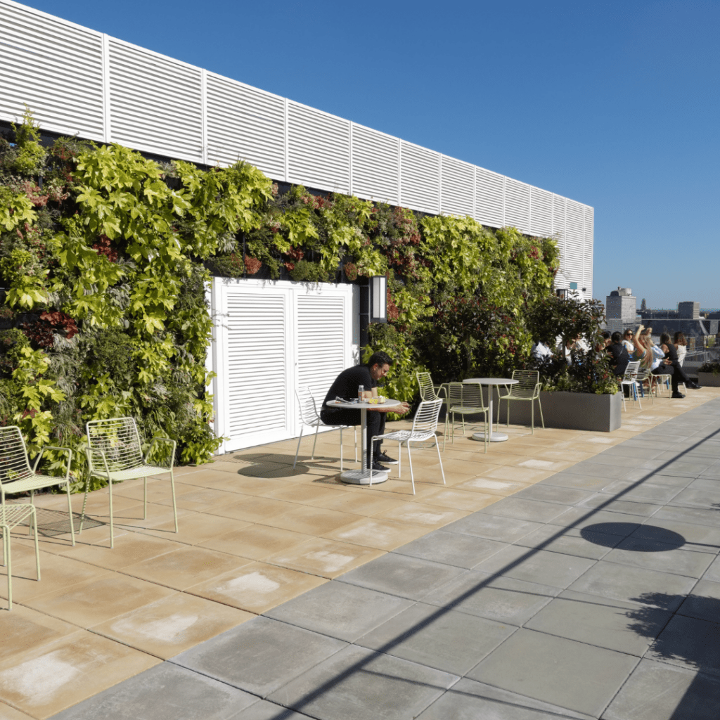 large-exterior-living-wall-rooftop-aurora-glasgow