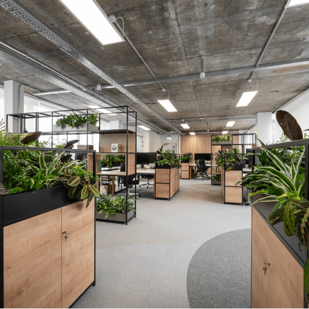 colourful-live-plants-cabinet-top-planters-small-square-troughs-circularity-capital-edinburgh