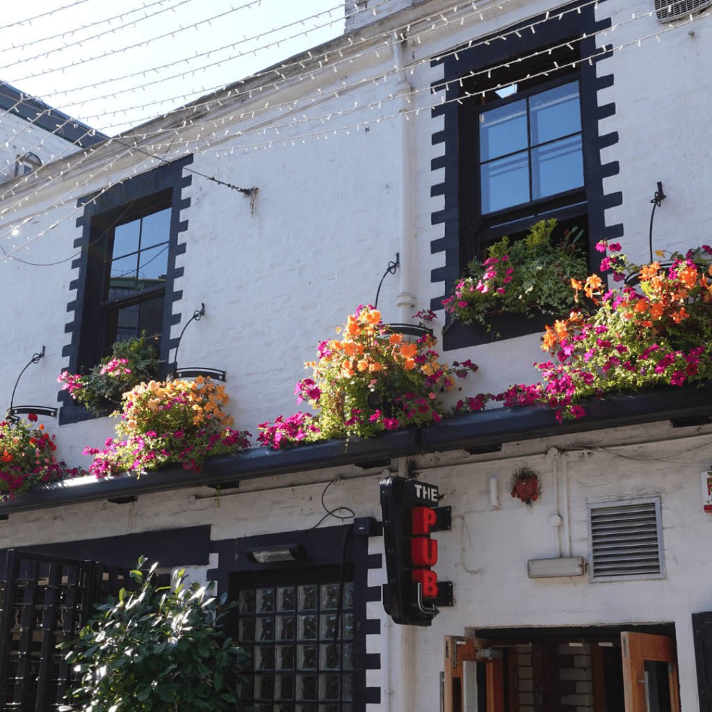 summer-hanging-baskets-ubiquitous-chip-glasgow